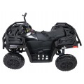 Quad Vehicle 4x4 ATV WOLF  Black
