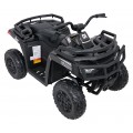 Quad Vehicle 4x4 ATV WOLF  Black