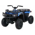 WOLF Blue 4x4 ATV Quad Vehicle