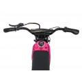 Vehicle Motor RZ56 MAX Pink