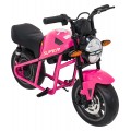 Vehicle Motorbike SUPERMOTO Pink