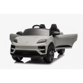 Vehicle Porsche Macan Gray