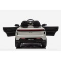 Vehicle Porsche Macan Gray