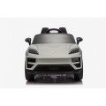 Vehicle Porsche Macan Gray