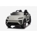 Vehicle Porsche Macan Gray