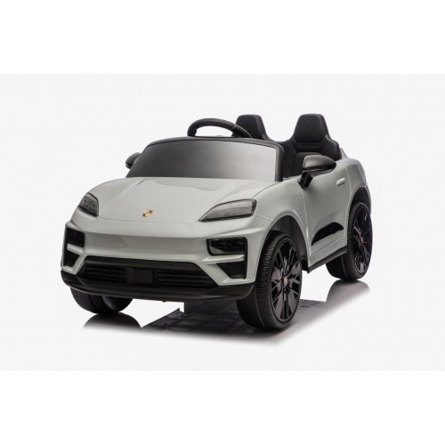 Vehicle Porsche Macan Gray