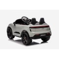 Vehicle Porsche Macan Gray