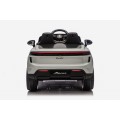 Vehicle Porsche Macan Gray