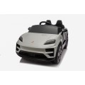 Vehicle Porsche Macan Gray