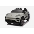 Vehicle Porsche Macan Gray