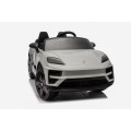 Vehicle Porsche Macan Gray