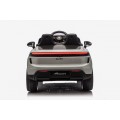 Vehicle Porsche Macan Gray