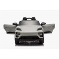Vehicle Porsche Macan Gray