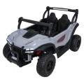 Gravity 4x4 Buggy Vehicle Gray