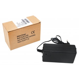 Vehicle Charger 24V1500MA