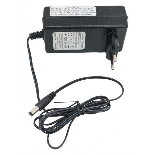 Vehicle Charger 24V1500MA