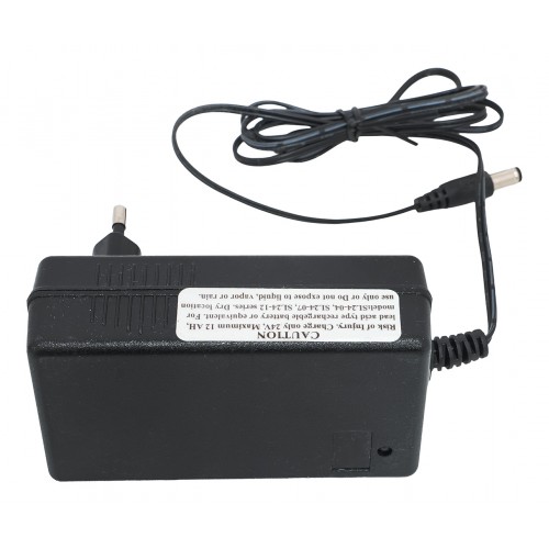 Vehicle Charger 24V1500MA