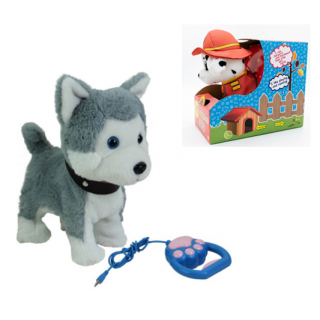 R/C Dog Gray
