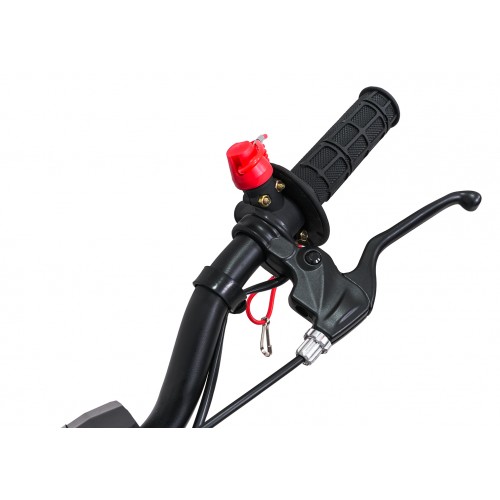 Vehicle NITRO 60cc Green Combustion Engine