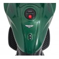 Vehicle Motor Ducati Diavel x Bentley Green