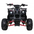 WILDPEAK 110cc Red Combustion Quad Vehicle
