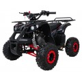 WILDPEAK 110cc Red Combustion Quad Vehicle