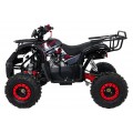 WILDPEAK 110cc Red Combustion Quad Vehicle