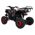 WILDPEAK 110cc Red Combustion Quad Vehicle
