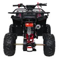 WILDPEAK 110cc Red Combustion Quad Vehicle