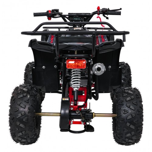 WILDPEAK 110cc Red Combustion Quad Vehicle