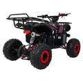 WILDPEAK 110cc Red Combustion Quad Vehicle