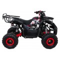 WILDPEAK 110cc Red Combustion Quad Vehicle
