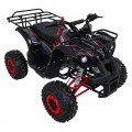 WILDPEAK 110cc Red Combustion Quad Vehicle