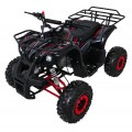 WILDPEAK 110cc Red Combustion Quad Vehicle