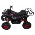 WILDPEAK 110cc Red Combustion Quad Vehicle