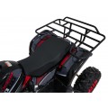 WILDPEAK 110cc Red Combustion Quad Vehicle