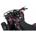 WILDPEAK 110cc Red Combustion Quad Vehicle