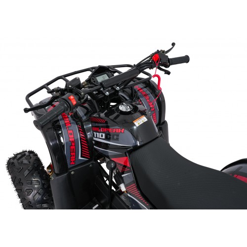WILDPEAK 110cc Red Combustion Quad Vehicle