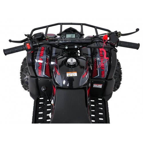 WILDPEAK 110cc Red Combustion Quad Vehicle