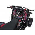 WILDPEAK 110cc Red Combustion Quad Vehicle