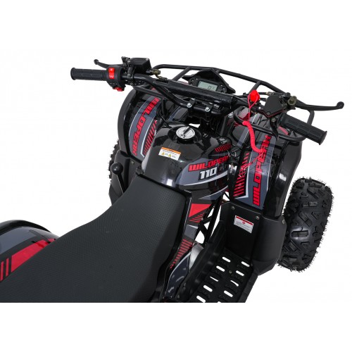 WILDPEAK 110cc Red Combustion Quad Vehicle