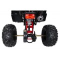 WILDPEAK 110cc Red Combustion Quad Vehicle
