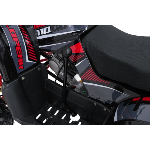WILDPEAK 110cc Red Combustion Quad Vehicle
