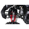 WILDPEAK 110cc Red Combustion Quad Vehicle