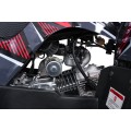 WILDPEAK 110cc Red Combustion Quad Vehicle