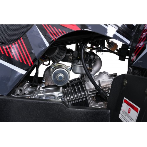 WILDPEAK 110cc Red Combustion Quad Vehicle