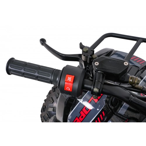 WILDPEAK 110cc Red Combustion Quad Vehicle