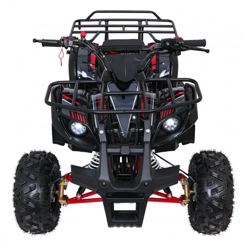 WILDPEAK 110cc Red Combustion Quad Vehicle