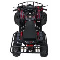 WILDPEAK 110cc Red Combustion Quad Vehicle