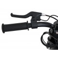 SHARK Electric Motor Vehicle Blue